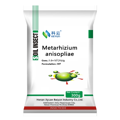 Metarhizium anisopliae 10 billionCFU/g OD